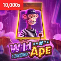 Hình ảnh đá gà trực tiếp tại ev99 Casino với các trận đấu nảy lửa và khu vực cá cược